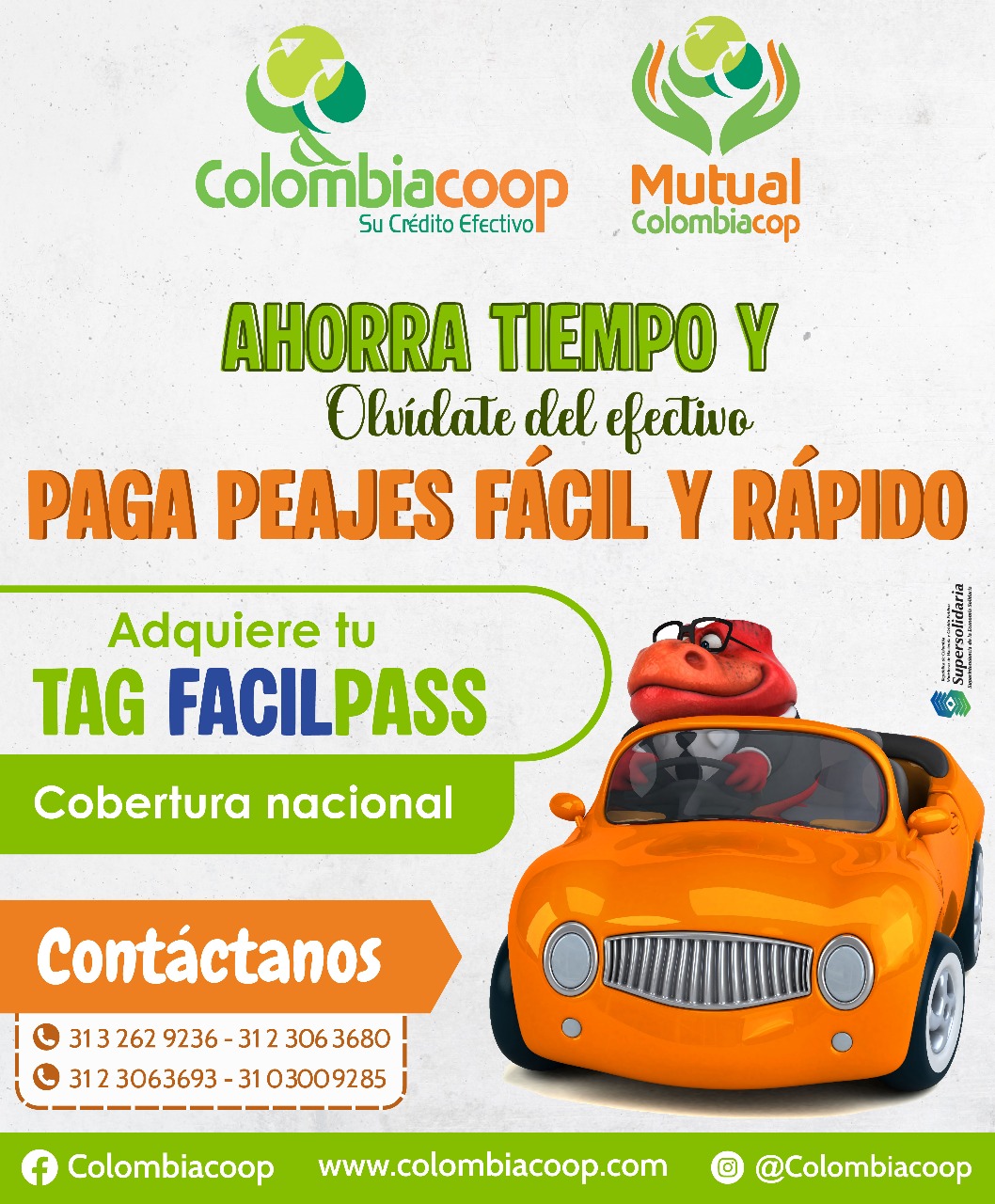 Imagen de WhatsApp 2025-07-22 a las 16.42.55_2fb15958